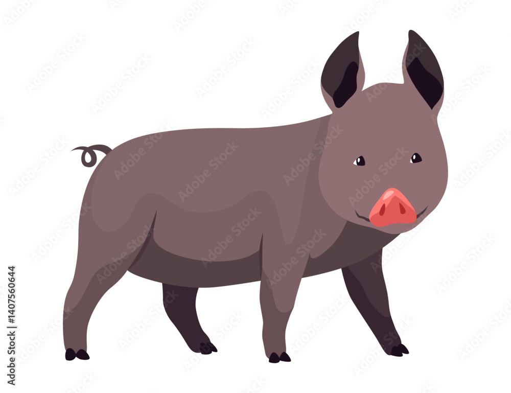 Pig set flat cartoon isolated on white background. Black pig vector illustration Pig set flat cartoon isolated on white background. Black pig vector illustration