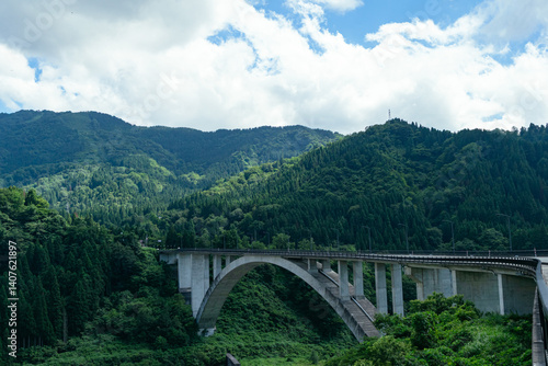 夏の山々を背景にした巨大な橋の景観