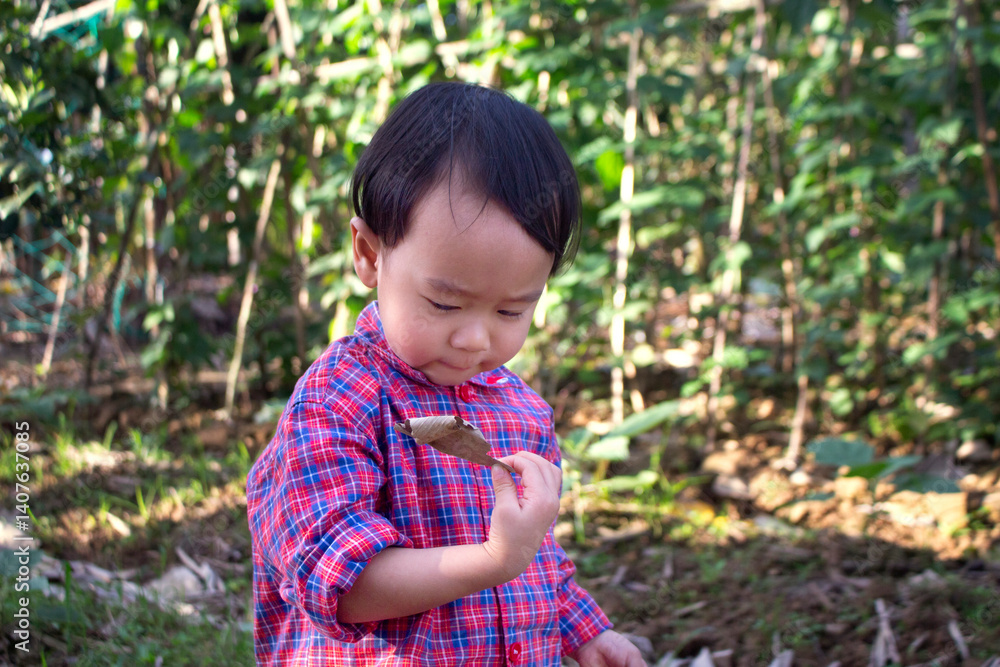 Kid, baby playing in the garden Kid, baby playing in the garden