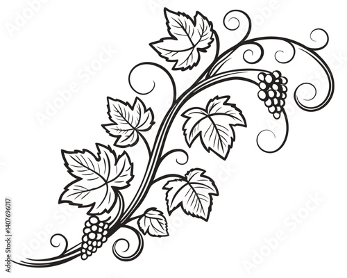 Vine and Grapes Elegant Art Illustration with Leaves and Swirling Patterns
