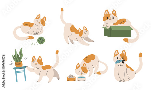 Funny Cat Domestic Pet with Pretty Snout Engaged in Different Activity Vector Set