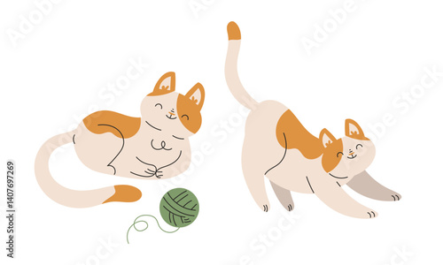 Funny Cat Domestic Pet with Pretty Snout Engaged in Different Activity Vector Set