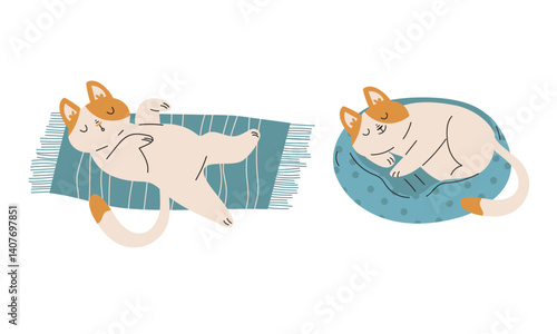 Funny Cat Domestic Pet with Pretty Snout Engaged in Different Activity Vector Set