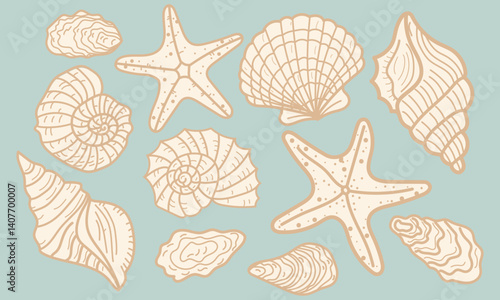 Set of hand drawn seashells. Summer vacation design elements for trendy prints, label, menu cover. Tropical beach shells. Vector flat illustration.