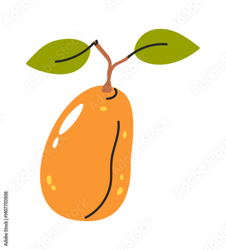 Kumquat hand drawn citrus fruit