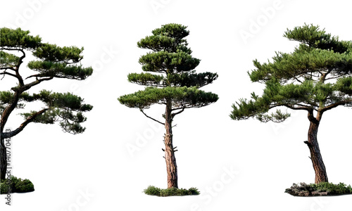 pine_tree_landscape_pack.ai