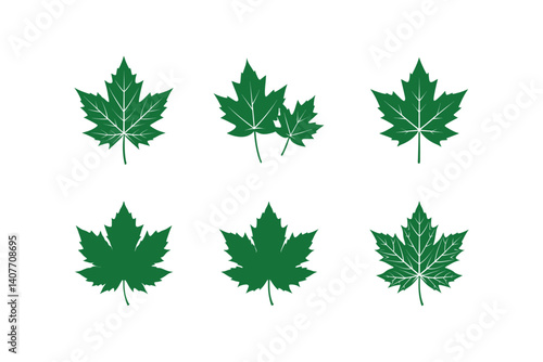 Colorful Maple leaf  isolated on white background. Vector, illustration