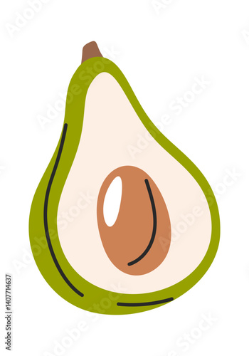 Hand drawn halved avocado fruit