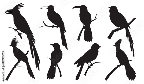 Bird Silhouette Perching Ensemble