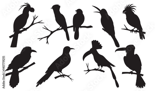 Diverse Bird Silhouette Collection