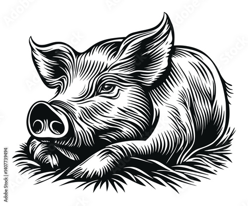 Detailed Black and White Woodcut Illustration of a Resting Pig