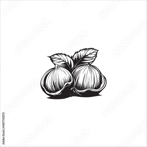 image of a hazelnut with leaves, vector, black and white graphics
