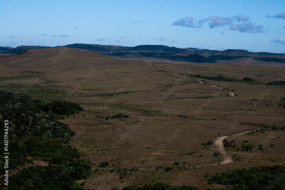 Trail through the vast natural grasslands Trail through the vast natural grasslands