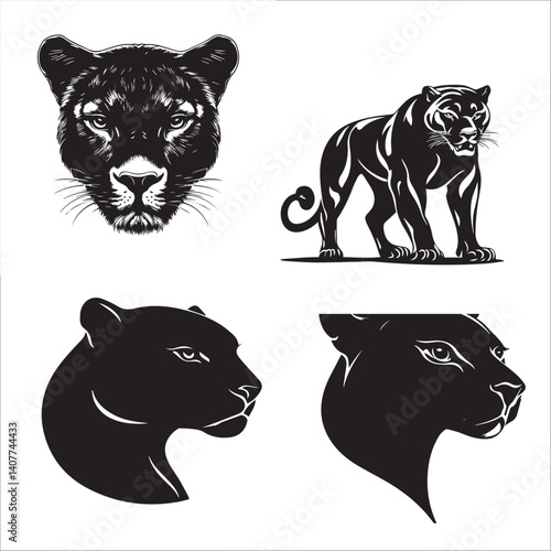image of a panther on a white background, vector, black and white graphics,set
