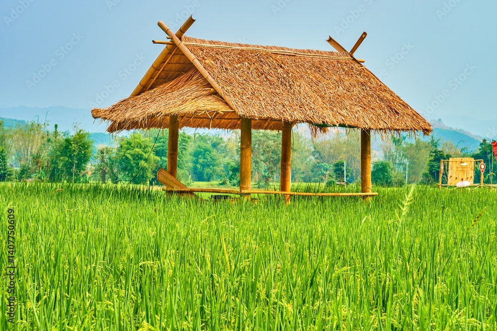 Bamboo lounge pavilions among paddy field in Chiang Rai suburb, Thailand