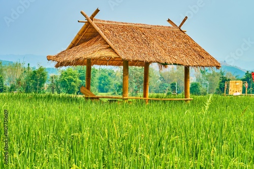 Obraz na płótnie Bamboo lounge pavilions among paddy field in Chiang Rai suburb, Thailand w salonie
