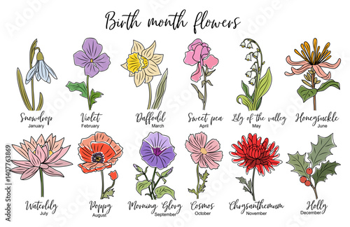 Set of flower line art vector. Snowdrop, daffodil, violet, lily of the valley, sweet pea, waterlily, poppy, cosmos hand drawn colored drawings. Birth month flowers for jewelry, tattoo, logo design.