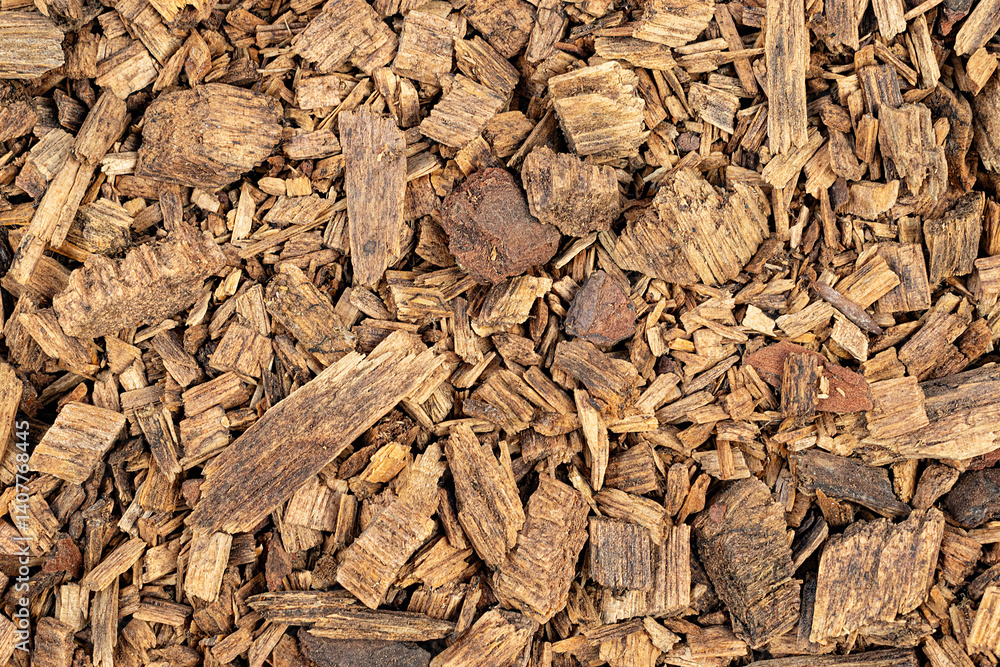 Texture of canary pine (Pinus canariensis) wood chips as background
Texture of canary pine (Pinus canariensis) wood chips as background