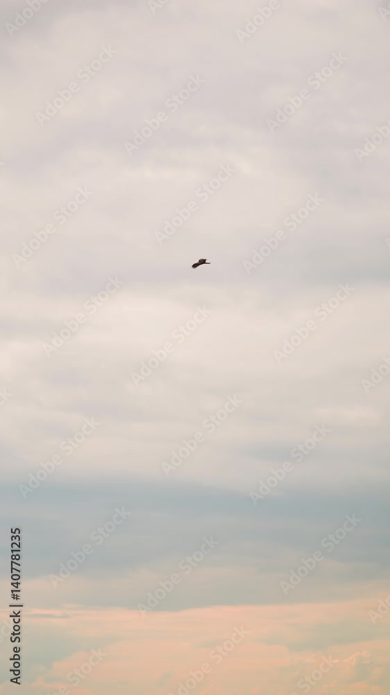 Two black birds are seen flying gracefully across an expansive, cloudy sky. The scene captures the serene and open atmosphere as the birds glide through the air Two black birds are seen flying gracefully across an expansive, cloudy sky. The scene captures the serene and open atmosphere as the birds glide through the air