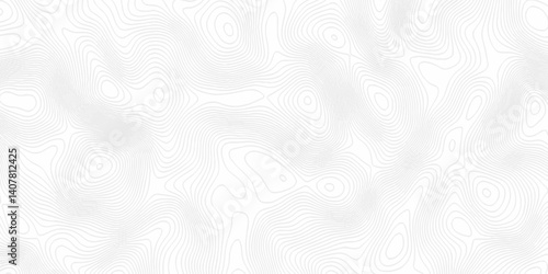 White topography topology vector white background fresh contour map texture. white seamless pattern Abstract background with a wave Topography and geography map grid abstract backdrop.