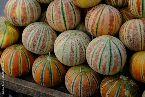 Fresh Melons at Fruit Market in Delhi India
