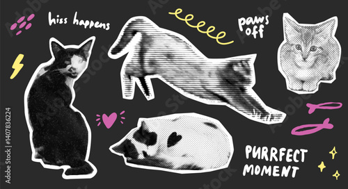 Crazy cats sticker pack, halftone collage black white zine cutouts, journal page template, typography funny text