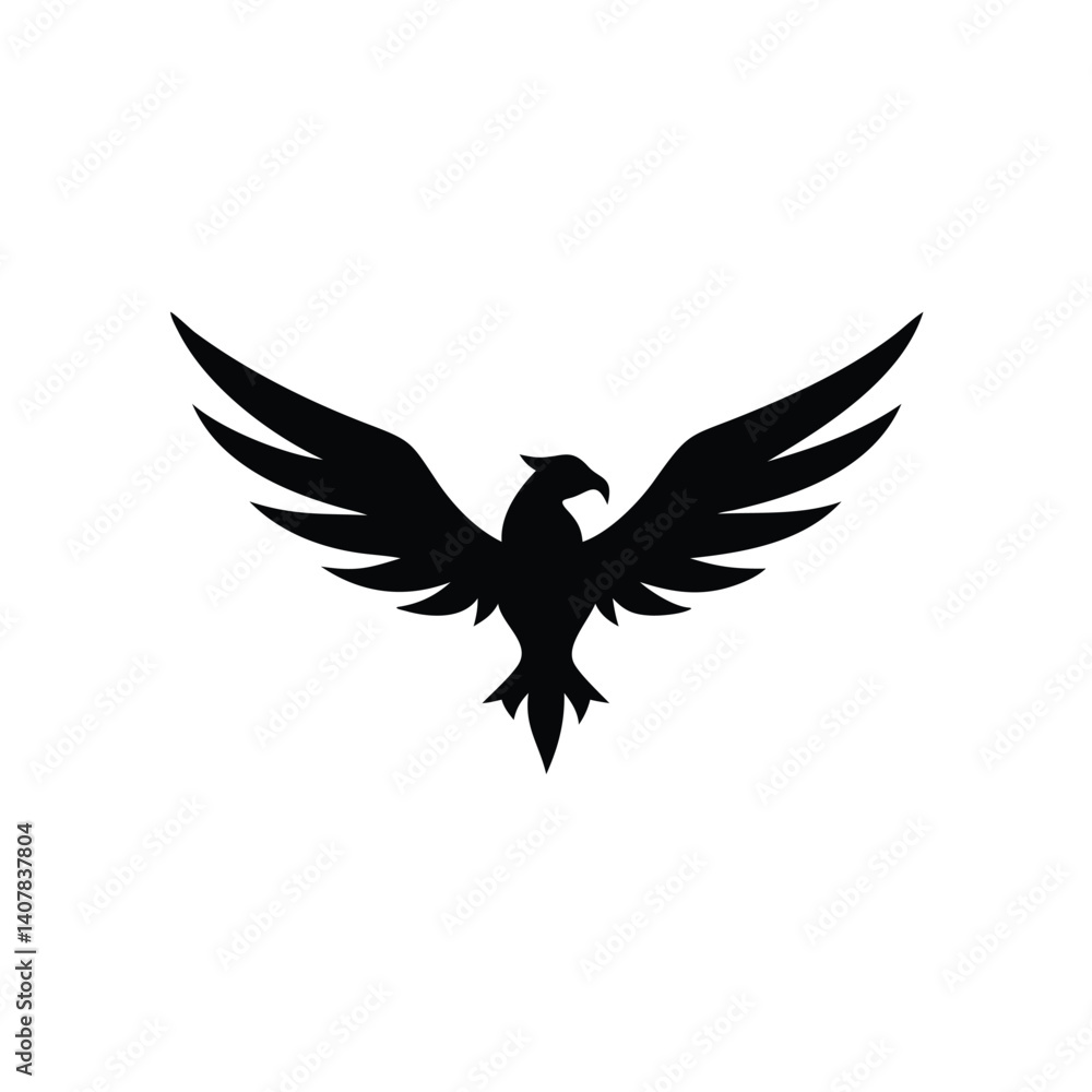 Obraz premium eagle with wings