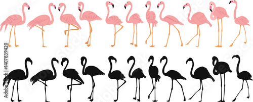 set of pink flamingos in flat style, vector