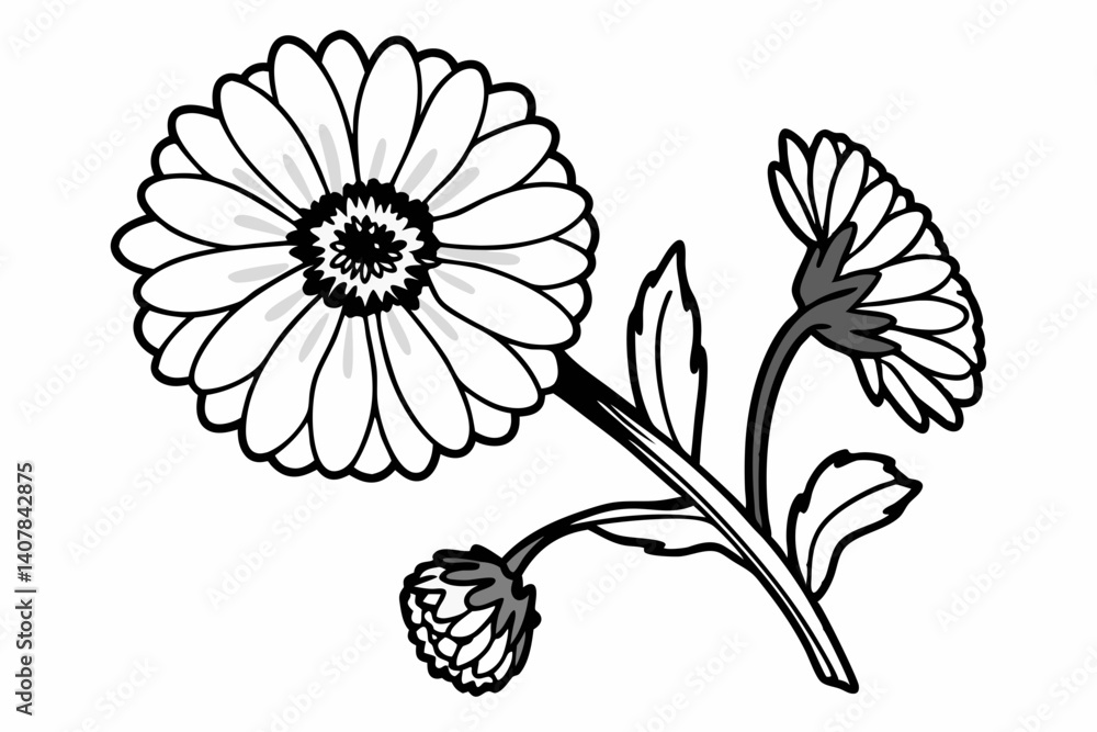 Fototapeta premium black and white flower