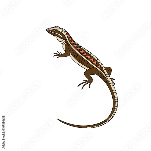 lizard on white background