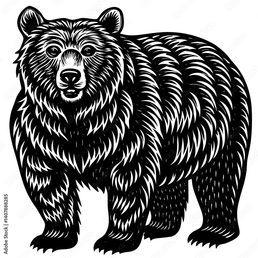 Obraz premium bear