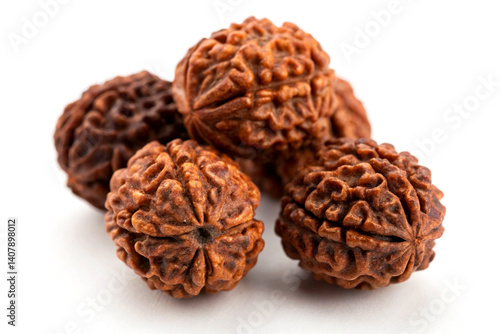 Spiritual Rudraksha Beads – Natural Brown Textured Seeds on White