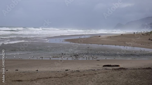 Oregon coast on a stormy day near Cascade Head