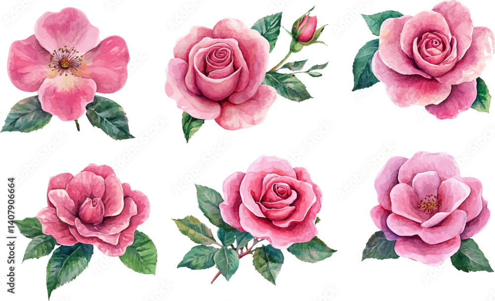 Fototapeta premium set of pink roses vector