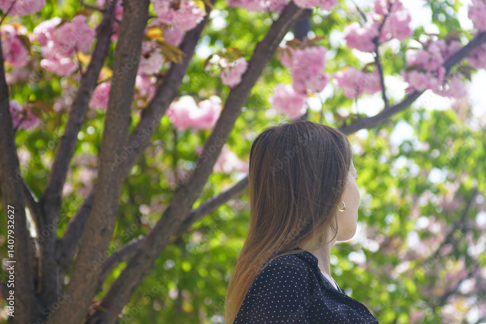 Enjoying the beauty of sakura: a young woman stands, turned away from the camera, and looks at the branches of a Japanese cherry tree covered with pink flowers. Walking in a spring park. Enjoying the beauty of sakura: a young woman stands, turned away from the camera, and looks at the branches of a Japanese cherry tree covered with pink flowers. Walking in a spring park.
