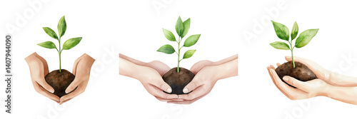 Wallpaper Mural Nurturing Growth Hands Holding Young Plants Symbolizing Hope and Life Torontodigital.ca