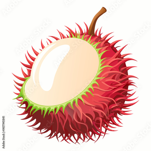 rambutan fruit vector icon