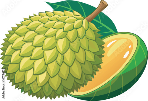 A vibrant, detailed vector illustration of a beautiful jackfruit, showcasing its unique texture, color, and tropical appeal in artistic style.