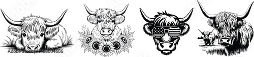 Set of cute highland cow, vector illustration.