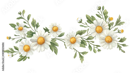 Chamomile Flowers Bouquet Frames Isolated on White Background