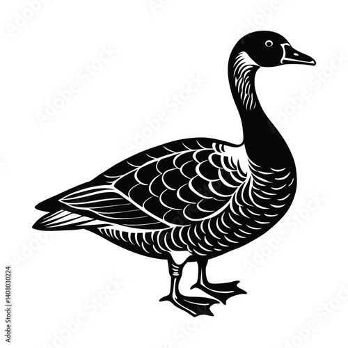 goose isolated on white background
