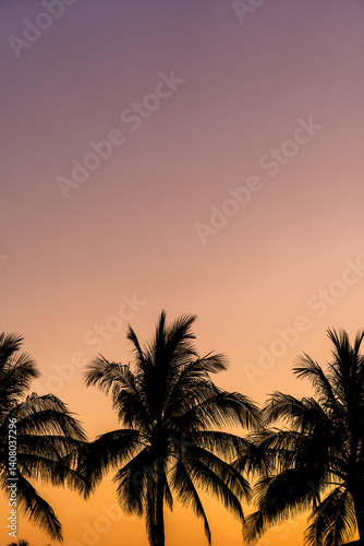 silhouette of palm trees with sunset