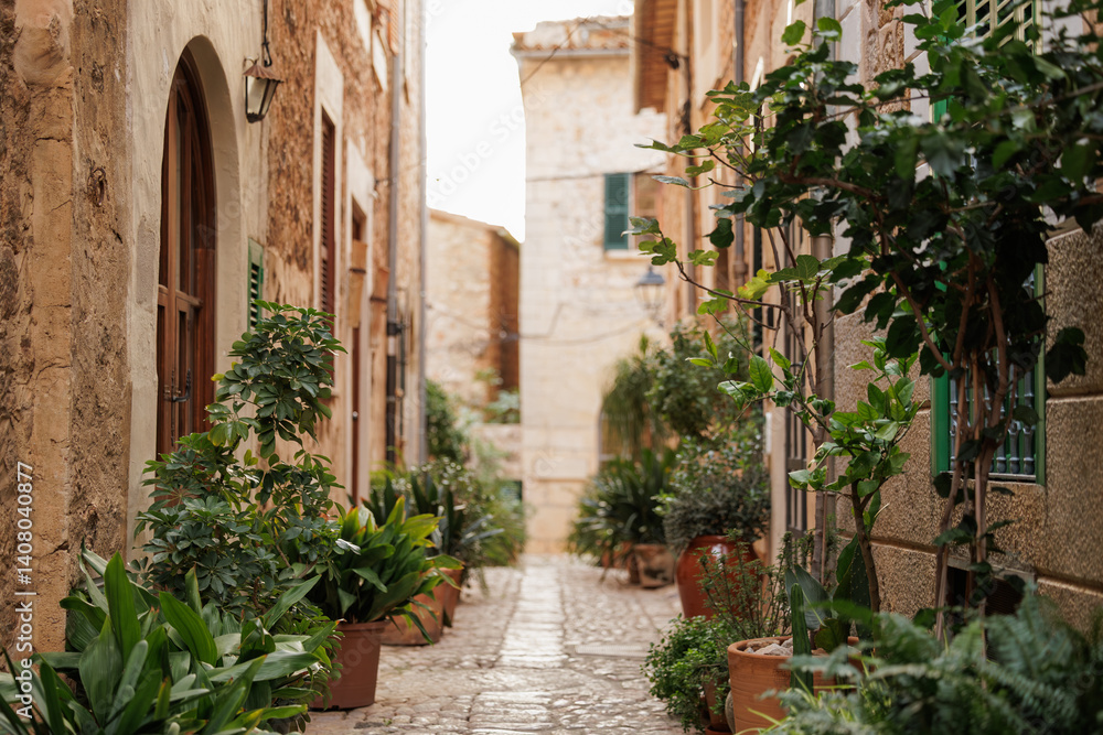 Obraz premium Street full of plants in the city and towns of Mallorca, Spain.