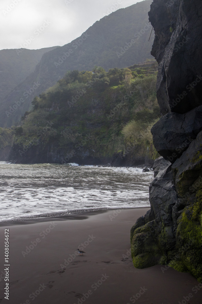 Explore the unique black sand of Seixal Port Beach in Madeira, surrounded by dramatic cliffs and rolling waves