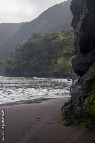 Obraz na płótnie Explore the unique black sand of Seixal Port Beach in Madeira, surrounded by dramatic cliffs and rolling waves w salonie