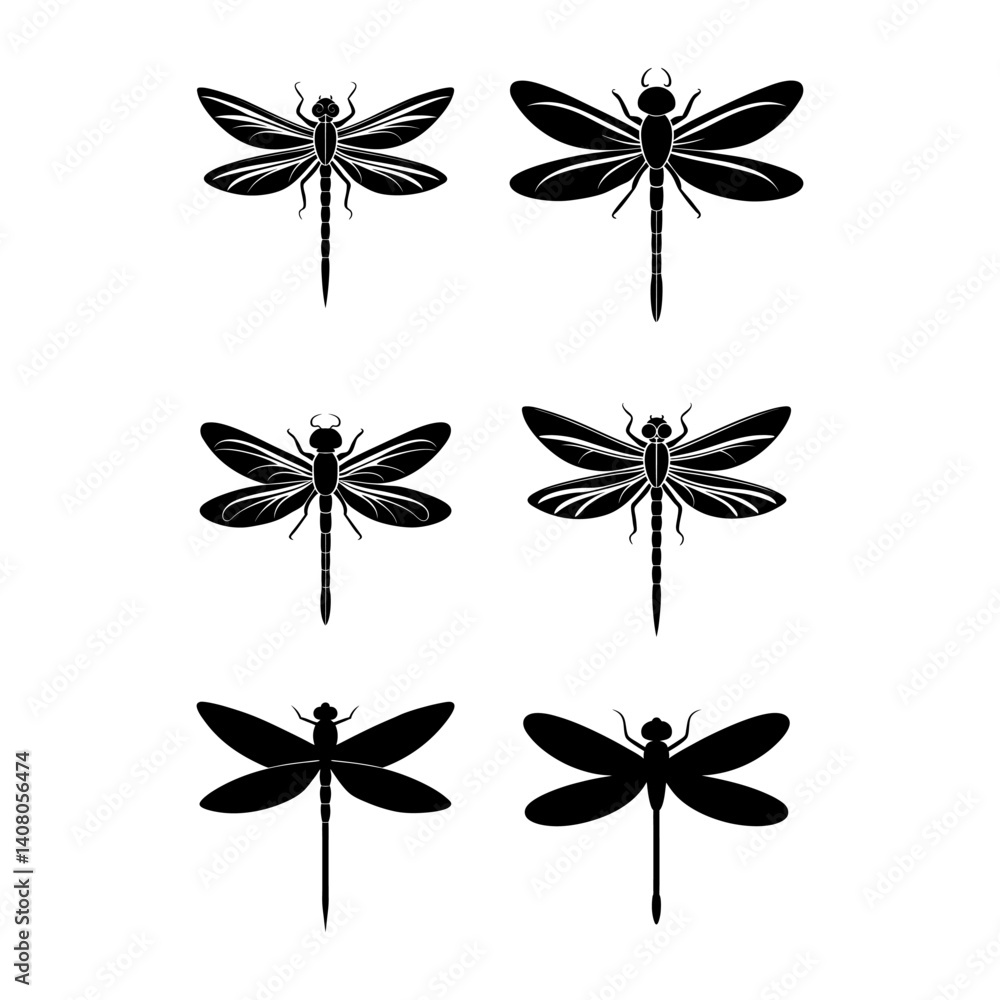Fototapeta premium butterfly on a white background