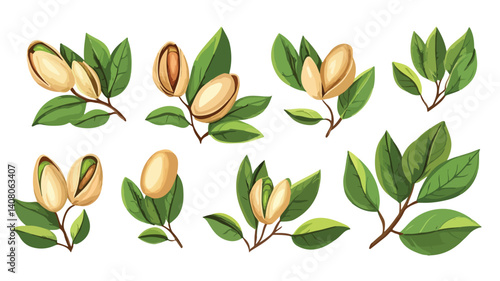 Exquisite Pistachio Nuts and Leaves Arrangement Isolated on White Background