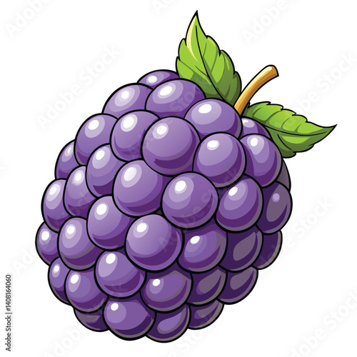 Purple berry cluster with leaves