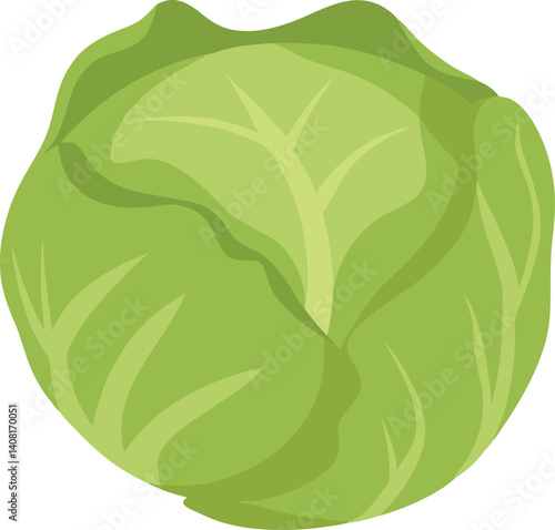 A Brussels sprout vector illustration