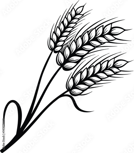 Wheat Plant Ears - Vector